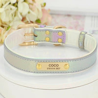 collier-pour-chien-personnalise-vert