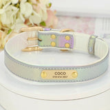 collier-pour-chien-personnalise-vert