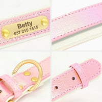 collier-pour-chien-personnalise