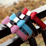 collier-pour-chien-personnalisé 