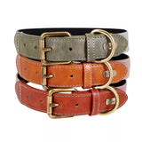 collier-pour-chien