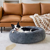 coussin-pour-chien