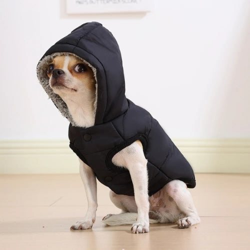 doudoune pour chien noire assis