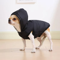 doudoune pour chien noire