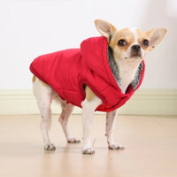 doudoune pour chien rouge debout