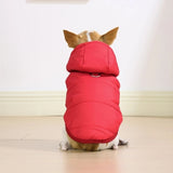 doudoune pour chien rouge dos