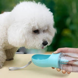 gourde-pour-chien