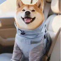 Imperméable pour chien bleu assis