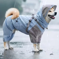 Imperméable pour chien bleu pluie