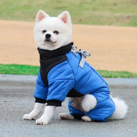 manteau imperméable pour chien bleu 