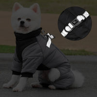 manteau imperméable pour chien gris harnais réfléchissant