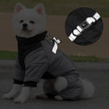 manteau imperméable pour chien gris harnais réfléchissant