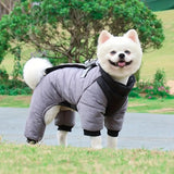 manteau imperméable pour chien gris