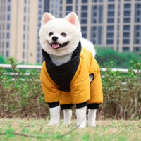 manteau imperméable pour chien jaune