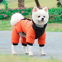 manteau imperméable pour chien orange