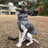 Manteau pour grand chien gris élégant