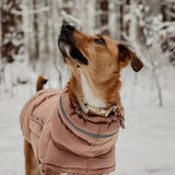 Manteau pour grand chien rose col haut 