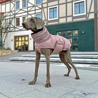 Manteau pour grand chien rose